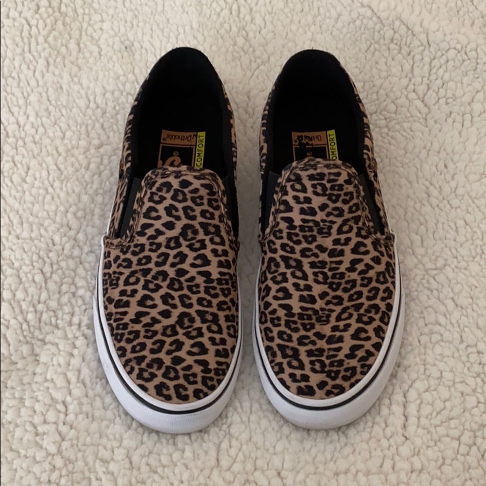 Vans Asher DX Skate Shoes